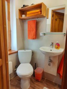 a bathroom with a toilet and a sink at Viesu Nams Vilhelmīne in Līgatne