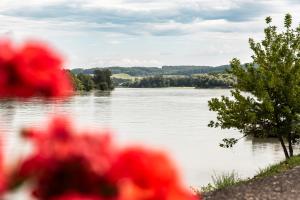 a view of a body of water with red flowers at Riverside Ybbs - Danube View in Ybbs an der Donau +1 photo