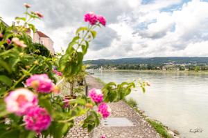a view of a river with pink flowers at Riverside Ybbs - Danube View in Ybbs an der Donau