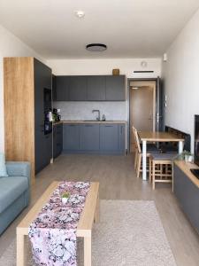a kitchen and a living room with a couch and a table at Harmony Metropolis Bratislava Free Parking in Nivy