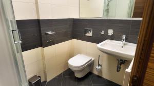 a bathroom with a toilet and a sink at Axiom Suites - Nova 7 in KoÅ¡ickÃ© KÃºpele +4 photos