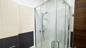 a shower with a glass door in a bathroom at Axiom Suites - Nova 7 in KoÅ¡ickÃ© KÃºpele