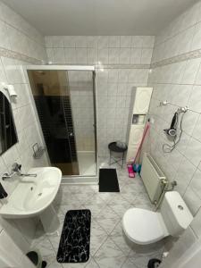 a bathroom with a toilet and a sink and a shower at Apartament Kościuszki in Malbork