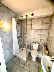 a bathroom with a shower and a toilet and a sink at La Résidence Urbaine in Mulhouse