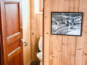 a bathroom with a toilet and a picture on the wall at Chalet Pegulu in Puy-Saint-Vincent +20 photos