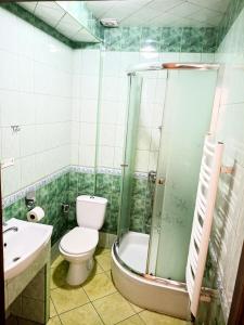 a bathroom with a shower and a toilet and a sink at Dwór Dziekanów in Zielonki +22 photos
