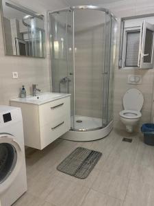 a bathroom with a shower and a toilet and a sink at Marina Luka in Bar +9 photos