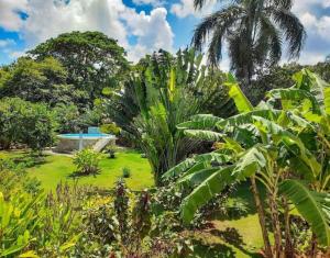 a garden with a swimming pool and trees at Labellaventura in Las Galeras +77 photos