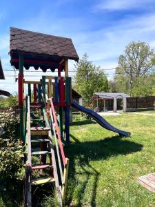 a playground with a slide in the grass at Vlădești house in Vlădeşti