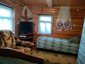 a living room with a couch and a tv in a cabin at Cottage in Pulemets