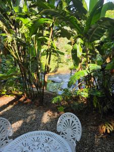 two white chairs sitting in front of a river at Nina-Flor Pousada Lumiar in Lumiar
