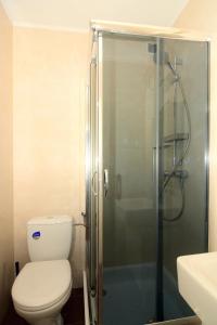 a bathroom with a toilet and a glass shower at Brunnenhof - Serviced Apartments in Bekond +5 photos