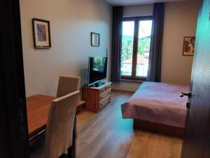 a bedroom with a bed and a desk and a television at Hedgehog Villa - Вила Таралеж in Velingrad +44 photos