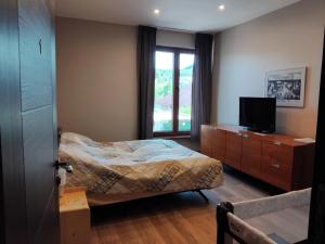 a bedroom with a bed and a tv and a window at Hedgehog Villa - Вила Таралеж in Velingrad
