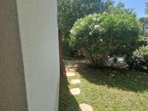 a side view of a yard with a bush at demeure du ventoux in Aubignan
