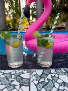 two cocktails with lime and mint on a table at Silver Lake View Resort in Barhi