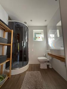 a bathroom with a shower and a toilet and a sink at Domek Matyjówka in Ustrzyki Dolne +5 photos