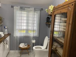 a bathroom with a toilet and a window at Gite du Lac Docteur in Saint-Honoré