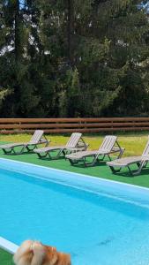 a dog is standing in front of a swimming pool at Apex Panorama Hotel in Yablunytsya