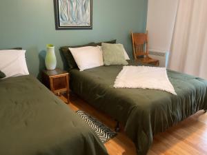 a bedroom with two beds and a vase on a table at Gite du Lac Docteur in Saint-Honoré