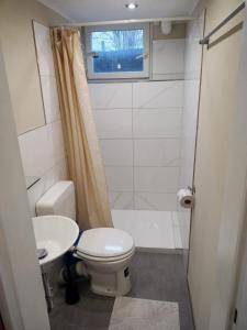 a small bathroom with a toilet and a sink at Luki's Apartment in Horn-Bad Meinberg