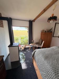 a bedroom with a fireplace and a bed and a window at Schmöllner Eierlei in Schmölln