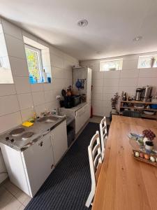 a kitchen with a table and a sink and a counter at Schmöllner Eierlei in Schmölln