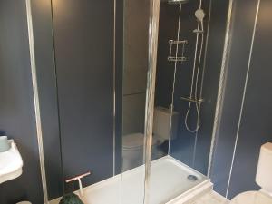 a bathroom with a shower and a toilet at Railmans Rest in Faversham