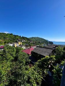 a view of a town with trees and the ocean at Guest House in Sarpi in Batumi