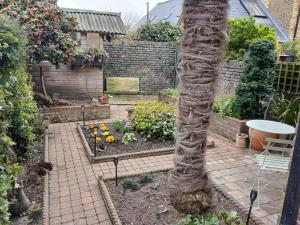 a garden with a palm tree in a courtyard at Railmans Rest in Faversham
