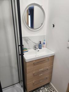 a bathroom with a sink and a mirror at Studio chaleureux sans-visà-vis in Vernon +6 photos