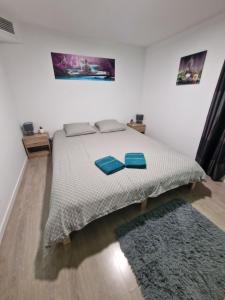 a bedroom with a bed with two blue pillows on it at Chambre chez l habitant petit déjeuner compris in Fréjus +13 photos