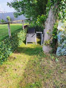 a chair sitting in the grass next to a tree at Rosie Caravan Selsey in Selsey +2 photos