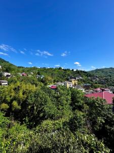 a view of a town from the top of a hill at Guest House in Sarpi in Batumi +32 photos
