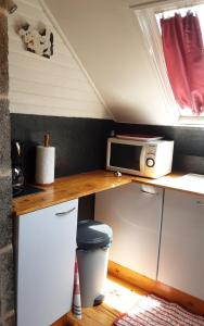 a small kitchen with a counter with a microwave on it at Le Petit Montceaux in Le Val-Saint-Père