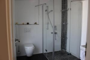a bathroom with a toilet and a glass shower at Ferienwohnung Schamne in Gernsbach +7 photos