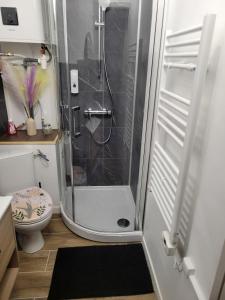 a bathroom with a shower and a toilet at Elegant studio Hyper center in Rodez +15 photos