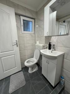 a bathroom with a toilet and a sink and a mirror at Georgeous lux apartment # purple in Foča
