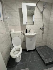 a bathroom with a toilet and a sink at Georgeous lux apartment # purple in Foča