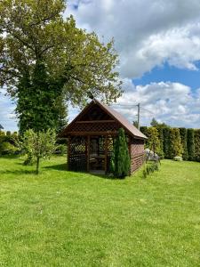 a small cabin in the middle of a grass field at Gościniec u Dzięcioła in Milonki