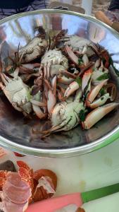 a pile of crabs in a bowl on a table at Casa Com 2 Quartos Barra Serinhaem - BA in Ituberá +11 photos