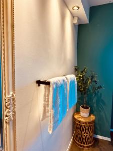 a bathroom with a shower with a towel and a plant at Cozy Apartment in Bad Oldesloe +9 photos