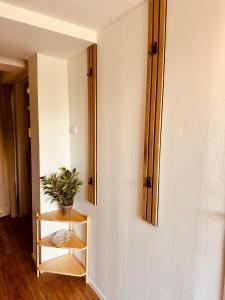 a plant on a shelf next to a wall with two mirrors at Cozy Apartment in Bad Oldesloe