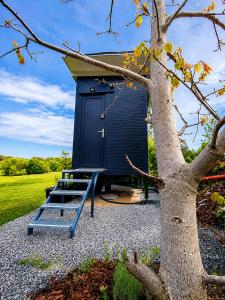 a black shed with a ladder next to a tree at Boží maringotka in Humpolec