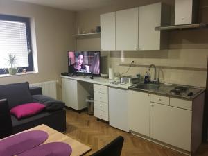 a kitchen with a couch and a tv in a room at Apartments Banjac in Maribor