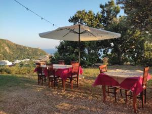 a table and chairs with an umbrella on a field at La Formica in Ascea