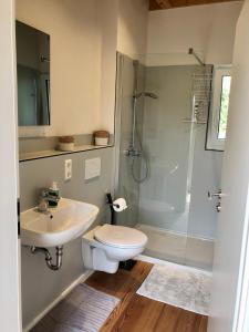 a bathroom with a toilet and a sink and a shower at Haus zum See in Uhldingen-Mühlhofen