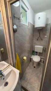 a small bathroom with a toilet and a sink at Niki Vendégház in Abaliget