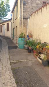 a street with potted plants on the side of a building at Maison clara 2 rue du centre in Clara