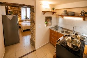 a kitchen with a stainless steel refrigerator and a sink at Pandora Stone Cottage Elos in Élos